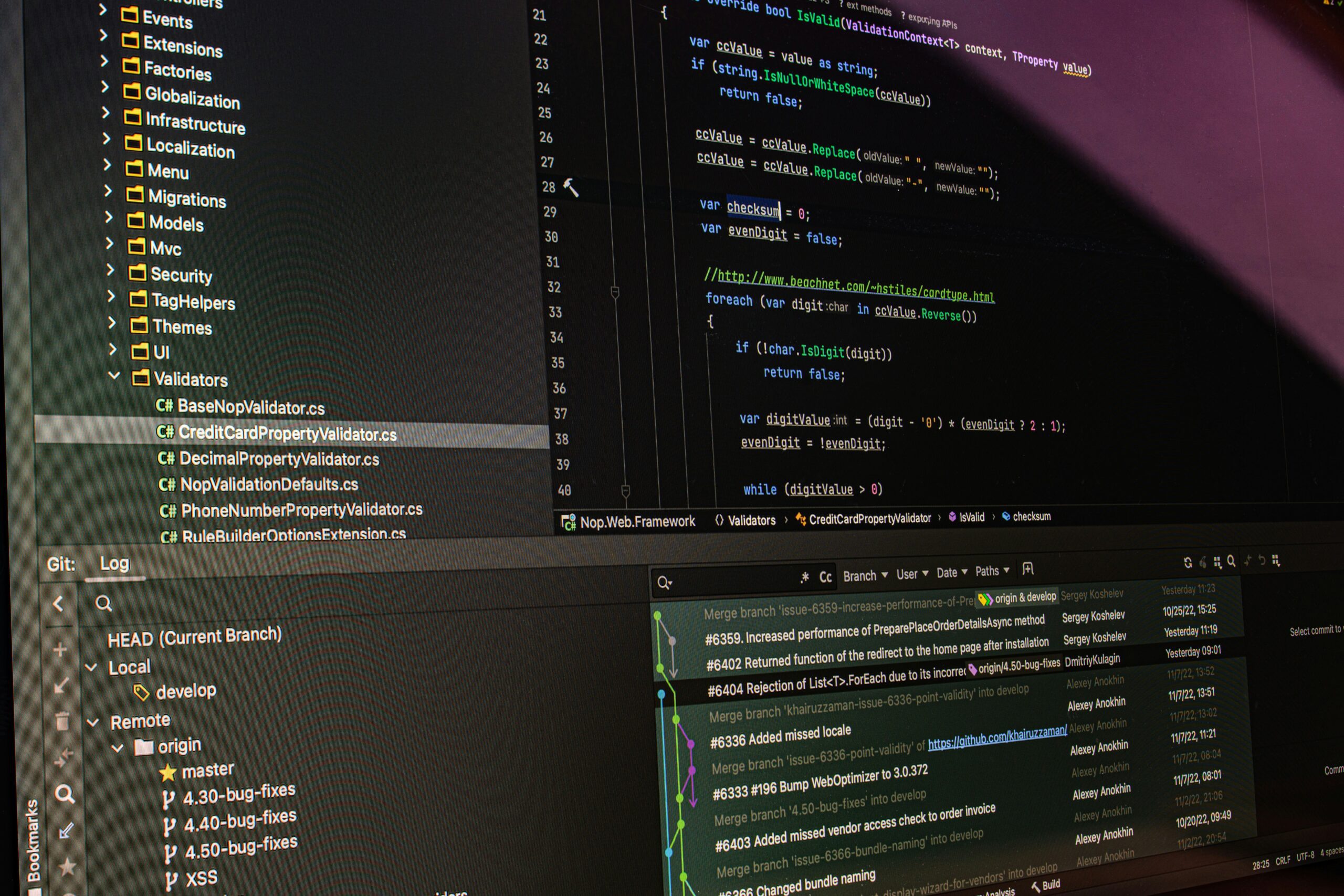 Man sieht einen Code Editor und mehrere Dateien auf einem Bildschirm.